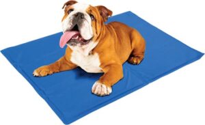 FlinQ Verkoelende Mat Voor Huisdieren - Koelmat - 90 x 50 cm - Hond & Kat