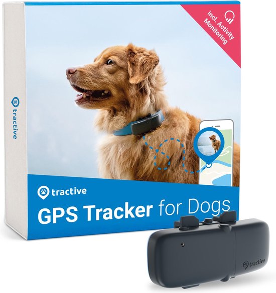 Beste GPS tracker voor je hond kopen Uitgelaten Hond