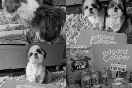 Edgard & Cooper Hondenbrokken