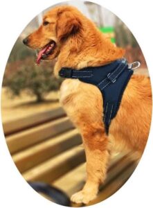 Honden Harnas Anti Trek - Honden Tuigje - Reflecterend Hondenharnas - Verstelbaar Hondenharnas - Zwart - Maat XL - 71 - 92 cm