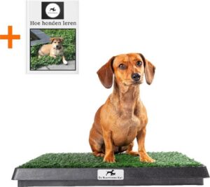 Premium Hondentoilet met 2 matten - Inclusief gratis E-Book - Puppy pads - indoor-outdoor hondentoilet met kunstgras