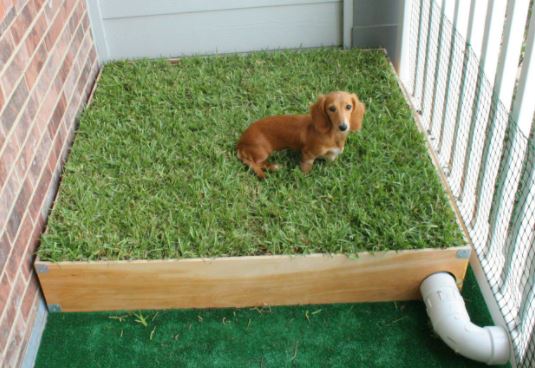 Tapis de frappe Dual Grass Mini Golf Training Practice Pad Zone de