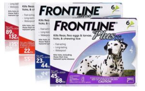 frontline hond