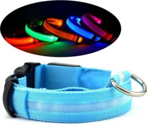 Halsband Hond- Huisdieren- Maat M- Led verlichting- Blauw