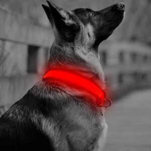 Oranje LED halsband Maat XL - honden halsband met verlichting