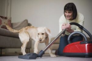 Vrouw toont hond aan lawaaierige stofzuiger