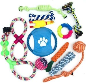 Honden speelgoed geschikt voor puppy's en kleine honden - 12 stuks