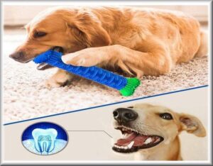‎Hond Tandenborstel stok - Tanden Reiniger Borstelen Kauwstok Speelgoed Dental Care‎