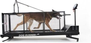 Dog Runner XL hondenloopband