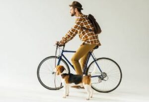 Hond mee op de fiets vervoeren