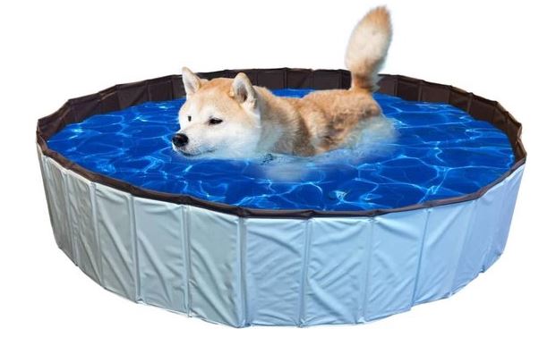 hondenzwembad groot