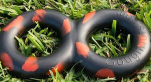 Goughnuts MaXX zittend in gras beste speelgoed voor grote honden en agressieve kauwers