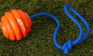 Nero Ball Ultra Onverwoestbaar Beloningsspeelgoed zittend op gras