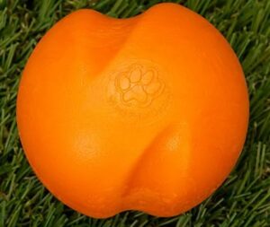 Oranje westpaw Jive Onverwoestbare bal liggend op gras