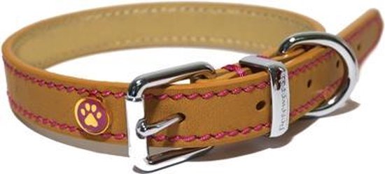 Leren hondenhalsband - online kopen