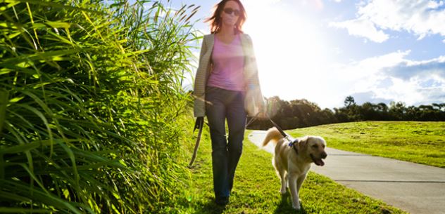 tips om uw hond koel te houden deze zomer