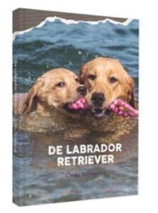 Labrador Retriever door Cindy Schwering