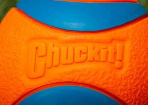 Chuckit! Ultra honden tennisbal close up shot op rubber ondergrond