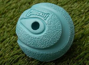 Close up van blauwe Chuckit! Whistler rubberen honden tennisbal
