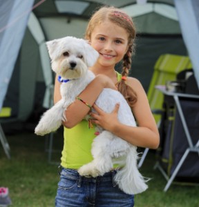 Zomer in de tent - jong meisje speelt met hond op de camping