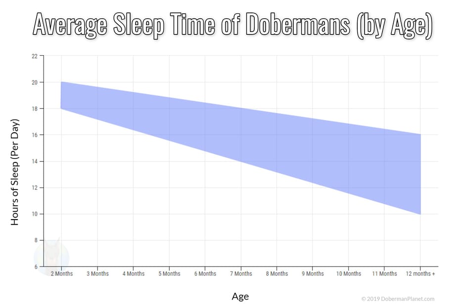 Grafiek van de gemiddelde slaaptijden van Dobermann pups.