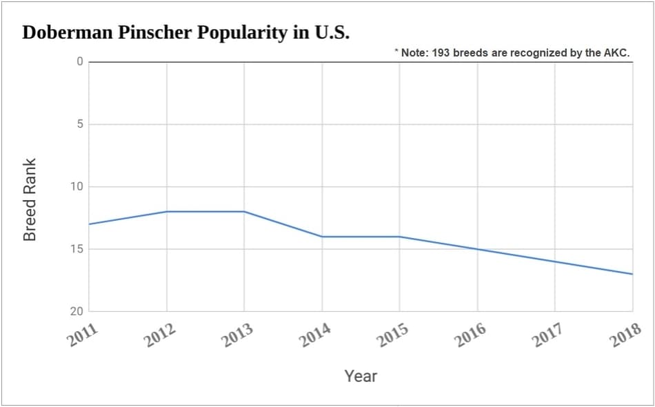Grafiek van recente populariteit van de Doberman Pinscher in de V.S.