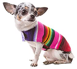rainbow dog clothes