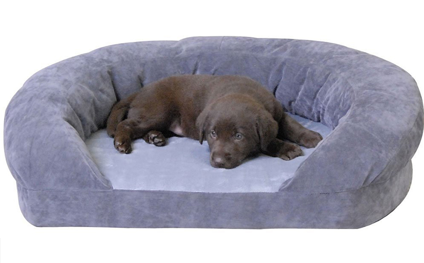 luxe puppy bed