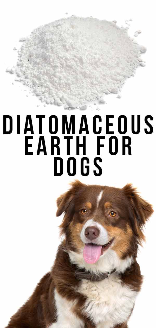 diatomeeënaarde voor honden