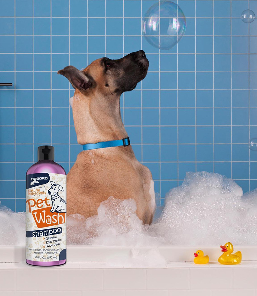 Honden Roos Shampoo