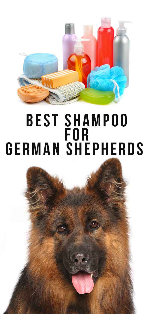 beste shampoo voor duitse herders