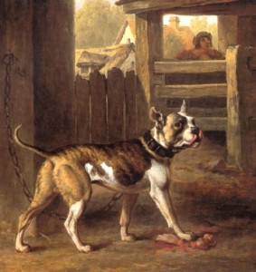 bulldog in 1790
