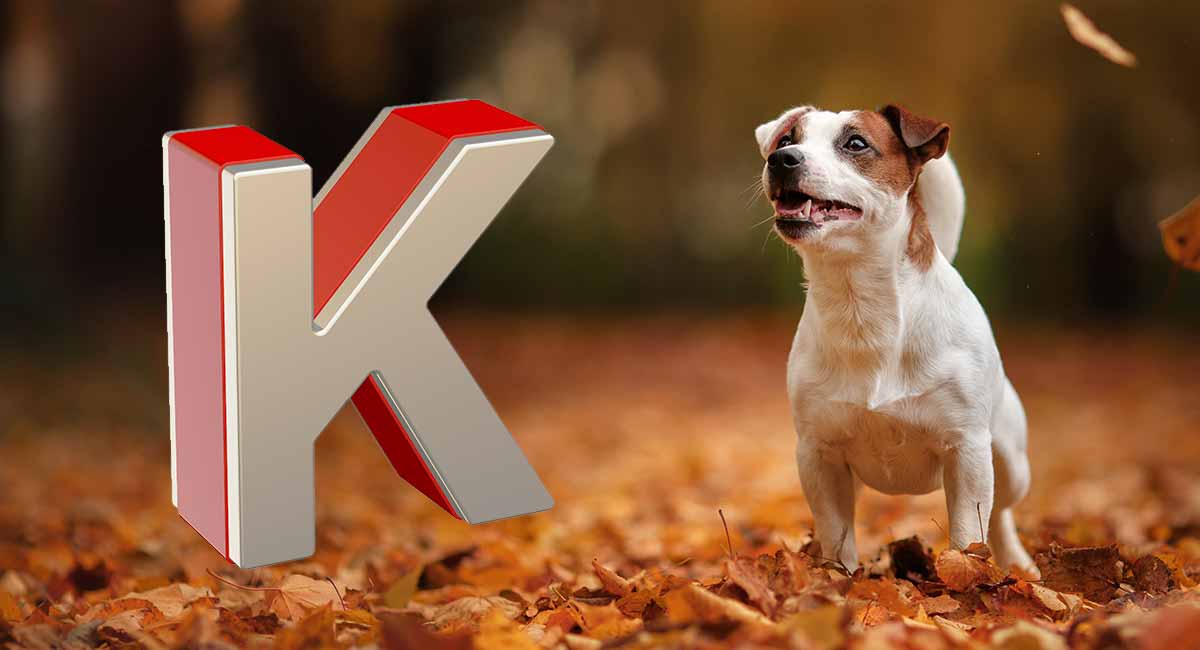 Hondennamen die beginnen met K