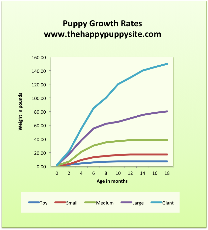 Puppy groei en honden gewicht grafiek