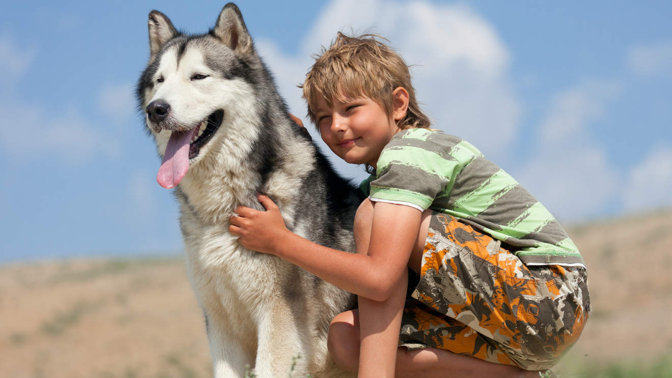 Jongen knuffelt een pluizige hond. Husky hondenras