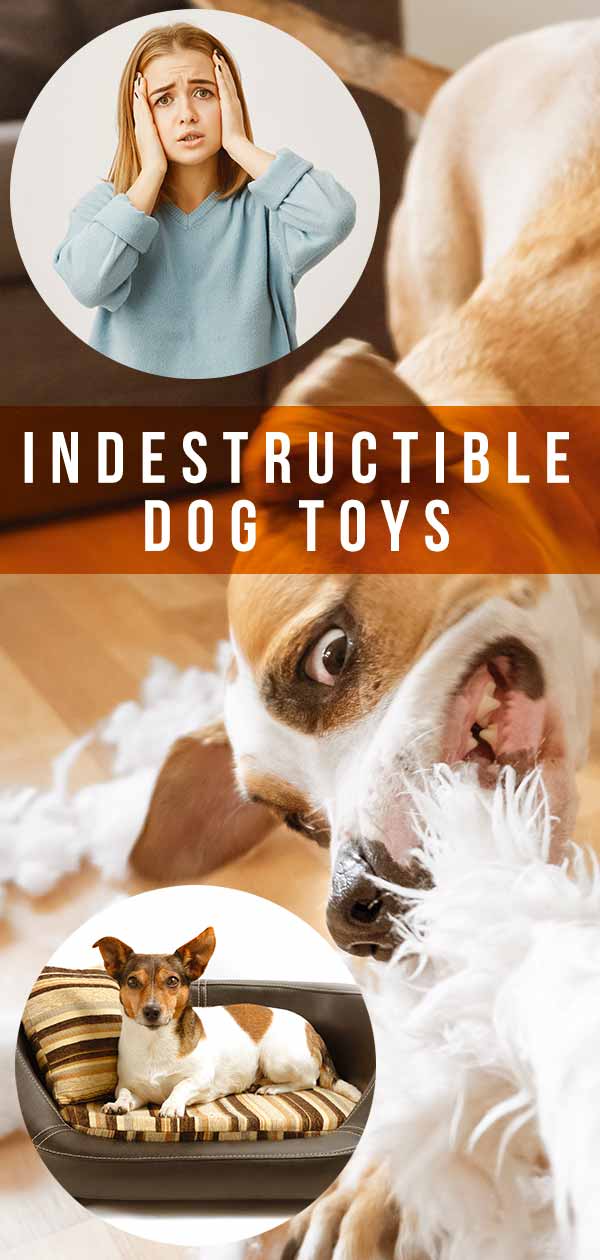 Beste onverwoestbare hondenspeelgoed - Een complete gids met tips en recensies