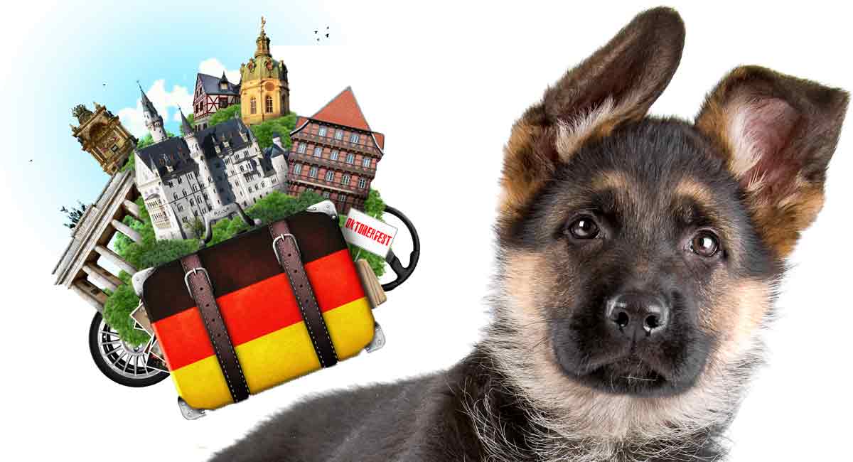 Duitse Hondennamen