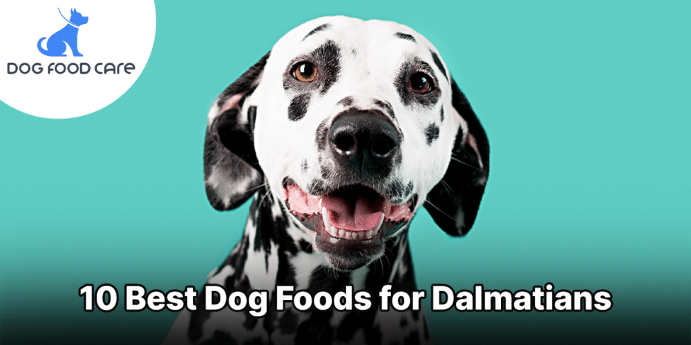 10 Beste hondenvoer voor Dalmatiërs