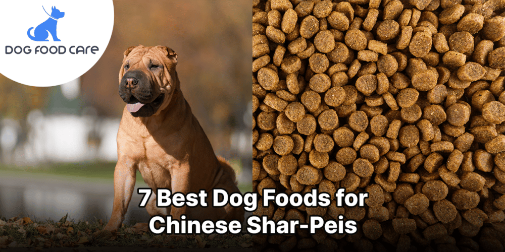 Beste hondenvoer voor Chinese Shar Peis