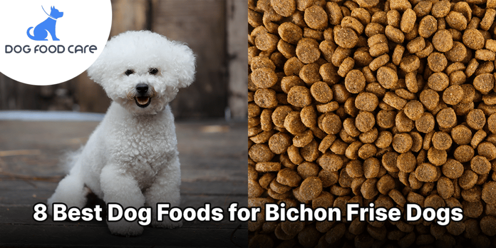 Beste hondenvoer voor Bichon Frise-honden