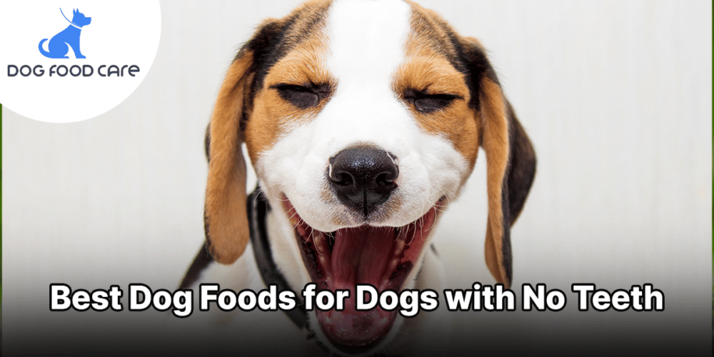 Hondenvoer voor honden zonder tanden dogfeedcare.com