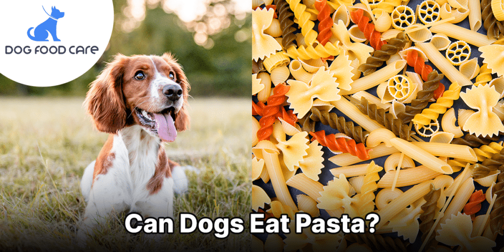 Kunnen honden pasta eten