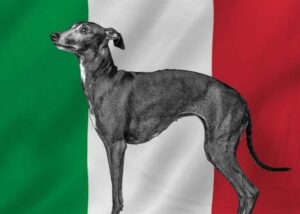 Italiaanse Hondennamen