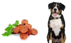 Mogen honden Chorizo eten