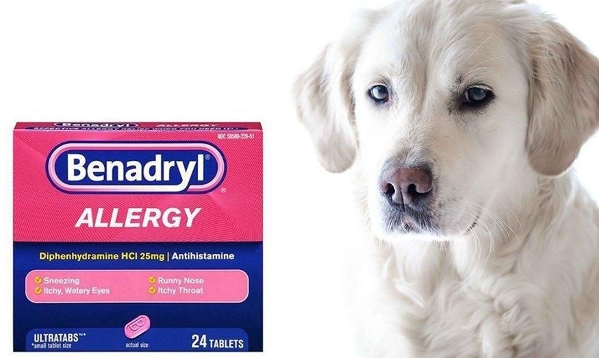 Benadryl voor honden